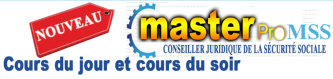 Master MSS Conseiller Juridique
